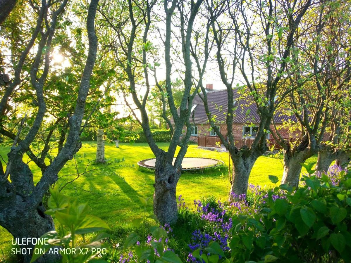 Lilleledgaard Country House Рінґкебінґ Екстер'єр фото
