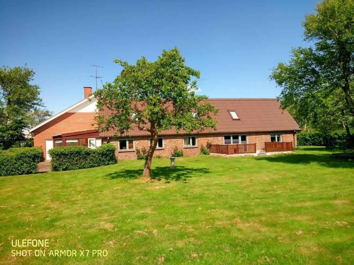 Lilleledgaard Country House Рінґкебінґ Екстер'єр фото